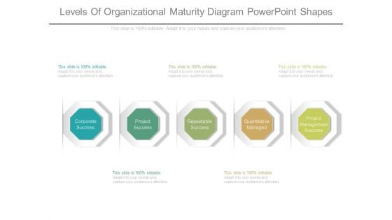 Levels Of Organizational Maturity Diagram Powerpoint Shapes