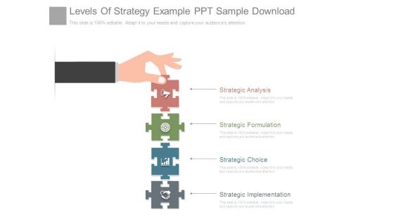 Levels Of Strategy Example Ppt Sample Download