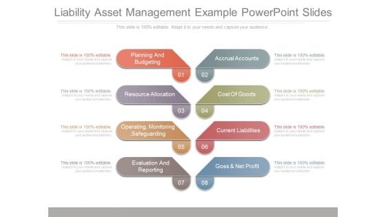 Liability Asset Management Example Powerpoint Slides