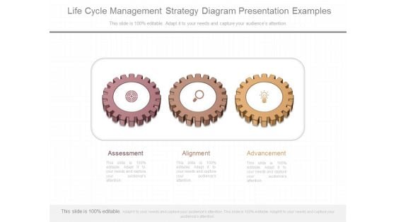 Life Cycle Management Strategy Diagram Presentation Examples