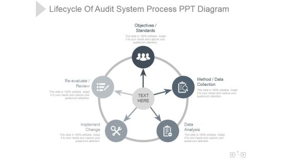 Lifecycle Of Audit System Process Ppt PowerPoint Presentation Icon