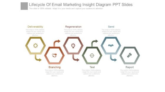 Lifecycle Of Email Marketing Insight Diagram Ppt Slides