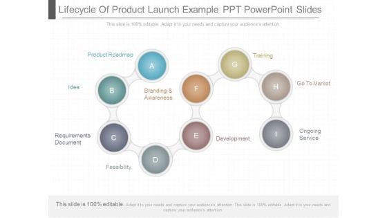 Lifecycle Of Product Launch Example Ppt Powerpoint Slides