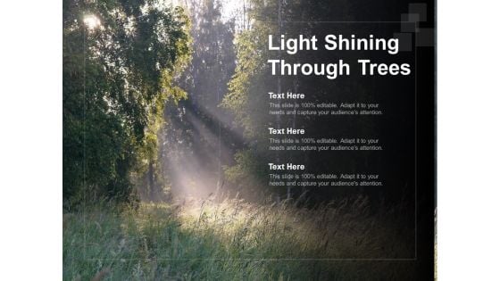 Light Shining Through Trees Ppt Powerpoint Presentation Gallery Clipart Images Light Shining Through Trees Ppt Powerpoint Presentation Gallery Clipart Images