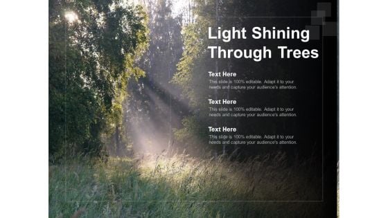 Light Shining Through Trees Ppt Powerpoint Presentation Gallery Clipart Images