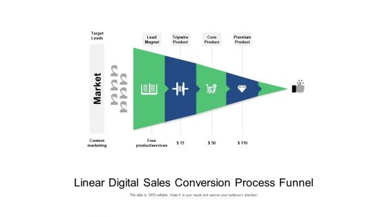 Linear Digital Sales Conversion Process Funnel Ppt PowerPoint Presentation Show Picture PDF