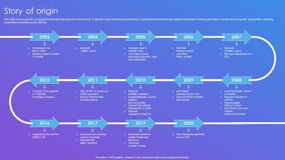 Linkedin Company Outline Story Of Origin Formats PDF