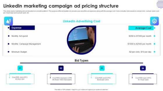 Linkedin Marketing Campaign Ad Pricing Structure Professional PDF