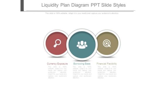 Liquidity Plan Diagram Ppt Slide Styles