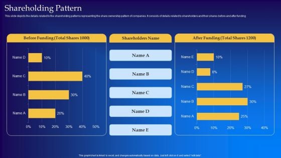 Live Audio Chat Platform Fundraising Pitch Deck Shareholding Pattern Template PDF