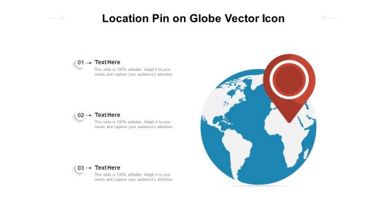 Location Pin On Globe Vector Icon Ppt PowerPoint Presentation Gallery Ideas PDF