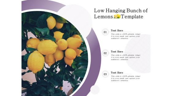 Low Hanging Bunch Of Lemons Template Ppt PowerPoint Presentation Gallery Guidelines PDF