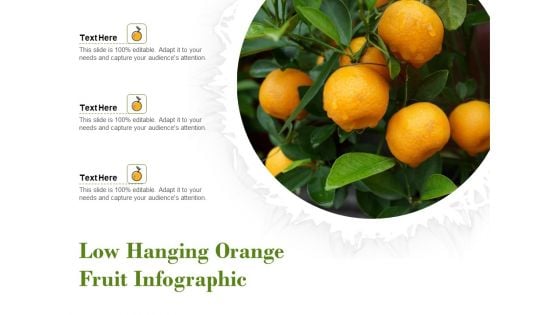 Low Hanging Orange Fruit Infographic Ppt PowerPoint Presentation File Backgrounds PDF