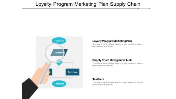 Loyalty Program Marketing Plan Supply Chain Management Audit Ppt PowerPoint Presentation Infographic Template Gallery