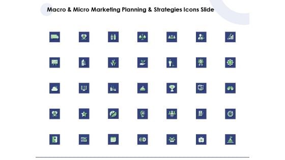 Macro And Micro Marketing Planning And Strategies Icons Slide Ppt Outline Master Slide PDF