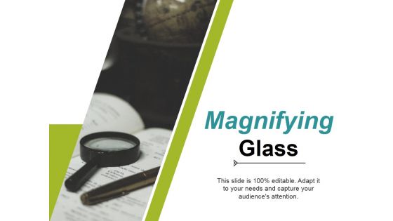 Magnifying Glass Ppt PowerPoint Presentation Portfolio Summary