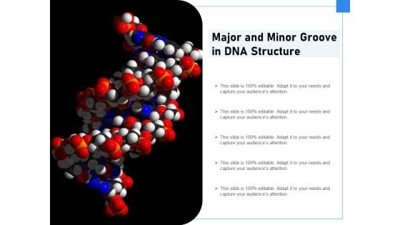 Major And Minor Groove In DNA Structure Ppt PowerPoint Presentation Icon Ideas PDF