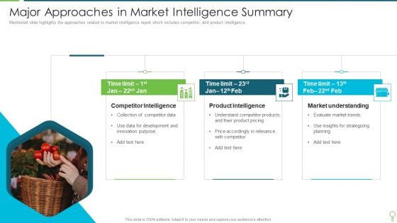 Major Approaches In Market Intelligence Summary Rules PDF