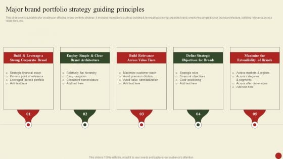 Major Brand Portfolio Strategy Guiding Principles Introduction PDF