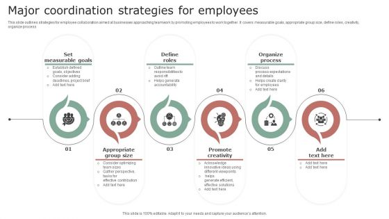 Major Coordination Strategies For Employees Microsoft PDF