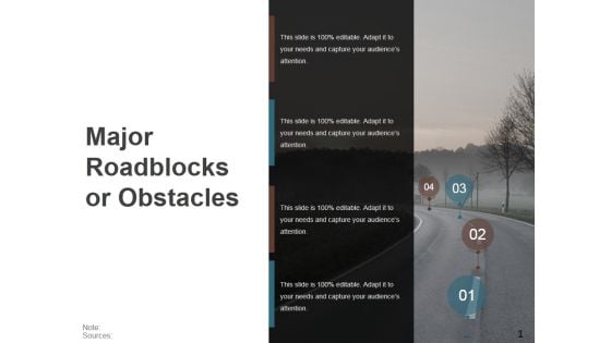 Major Roadblocks Or Obstacles Template 1 Ppt PowerPoint Presentation Professional Graphics Example