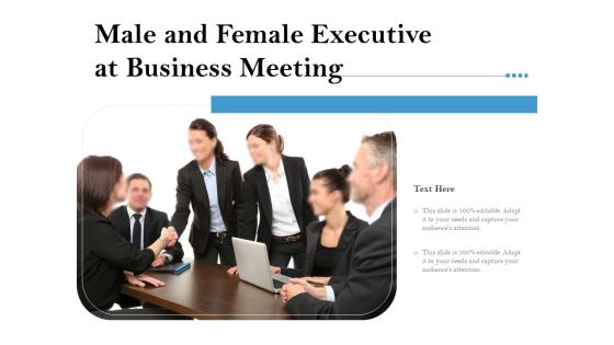 Male And Female Executive At Business Meeting Ppt PowerPoint Presentation Gallery Visuals PDF