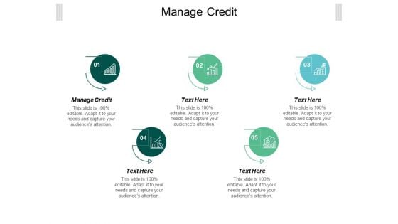 Manage Credit Ppt PowerPoint Presentation Ideas Elements Cpb