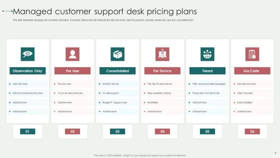 Managed Customer Support Desk Pricing Plans Professional PDF