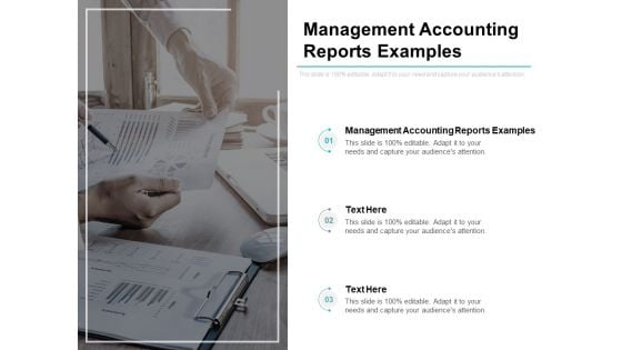 Management Accounting Reports Examples Ppt PowerPoint Presentation Infographic Template Layout Cpb