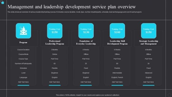 Management And Leadership Development Service Plan Overview Structure PDF