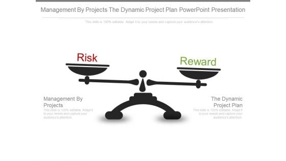 Management By Projects The Dynamic Project Plan Powerpoint Presentation