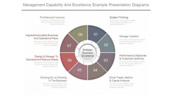 Management Capability And Excellence Example Presentation Diagrams