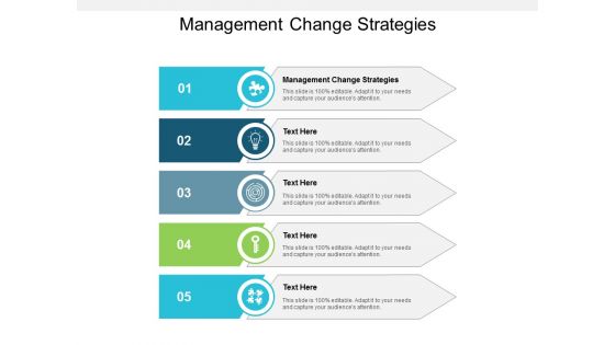 Management Change Strategies Ppt PowerPoint Presentation Slides Graphics Tutorials Cpb