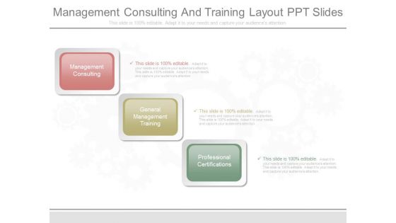 Management Consulting And Training Layout Ppt Slides