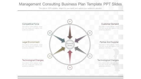 Management Consulting Business Plan Template Ppt Slides