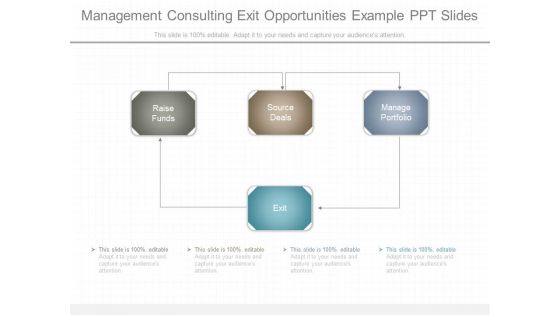 Management Consulting Exit Opportunities Example Ppt Slides