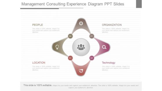 Management Consulting Experience Diagram Ppt Slides