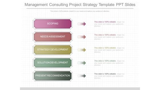 Management Consulting Project Strategy Template Ppt Slides