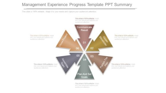 Management Experience Progress Template Ppt Summary