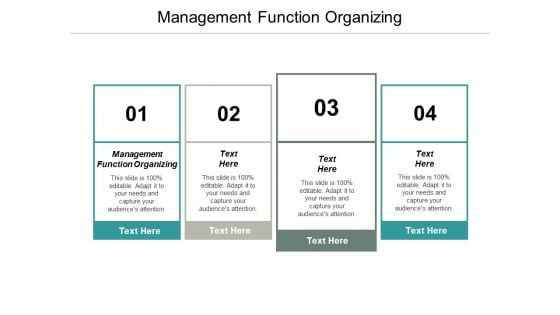 Management Function Organizing Ppt PowerPoint Presentation Slides Master Slide Cpb