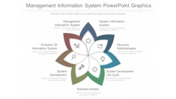 Management Information System Powerpoint Graphics