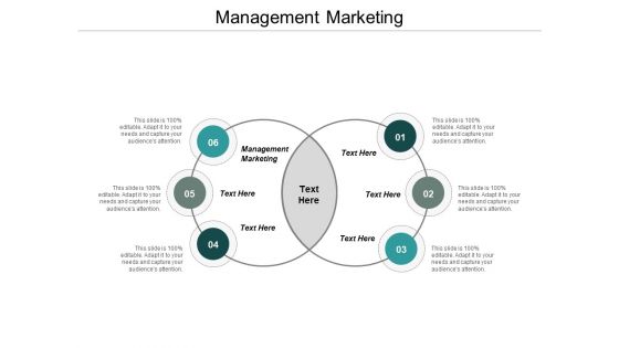 Management Marketing Ppt PowerPoint Presentation Icon Format Cpb
