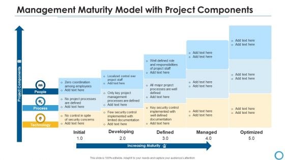 Management Maturity Model With Project Components Portrait PDF