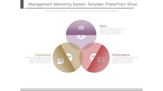 Management Mentoring System Template Powerpoint Show