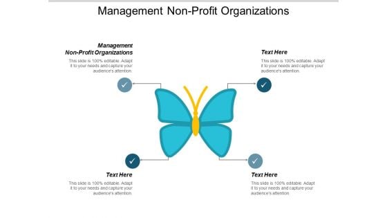 Management Non Profit Organizations Ppt PowerPoint Presentation Inspiration Professional Cpb