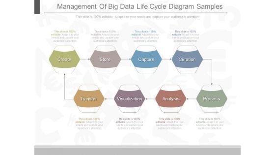 Management Of Big Data Life Cycle Diagram Samples