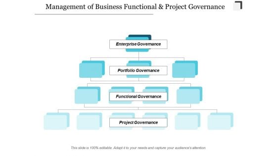 Management Of Business Functional And Project Governance Ppt Powerpoint Presentation Infographics Layout Management Of Business Functional And Project Governance Ppt Powerpoint Presentation Infographics Layout