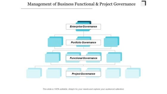 Management Of Business Functional And Project Governance Ppt Powerpoint Presentation Infographics Layout