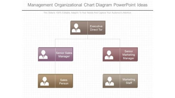 Management Organizational Chart Diagram Powerpoint Ideas
