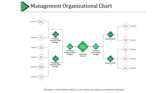 Management Organizational Chart Ppt PowerPoint Presentation Icon Background Images